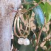 ⁦עגילי גולדפילד ג'יפסי גדולים ופנינת ברוק⁩ – תמונה ⁦2⁩