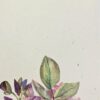 ⁦ברכת פרחים צבעי מים⁩ – תמונה ⁦2⁩