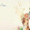 ⁦ברכת so dear⁩ – תמונה ⁦2⁩